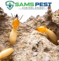 SAMS Termite Control Sydney image 2